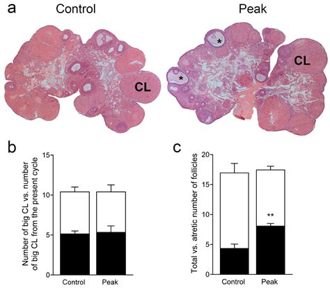 Rat Ovarian Function Is Impaired during Experimental Autoimmune ...
