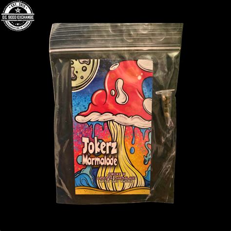 Jokerz Marmalade (Jokerz x Limetta Marmalade) 3 Feminized Seeds – DCSE