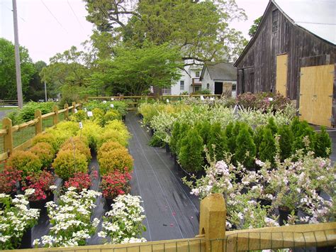 More Photos | Cloverdale Nursery, LLC