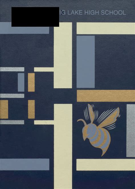 2005 yearbook from Big Lake High School from Big lake, Minnesota for sale