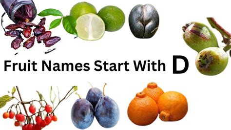 Vegetable That Start With Letter D at Everett Reynolds blog