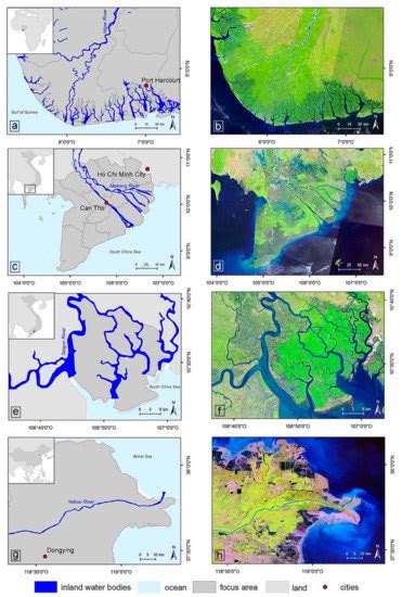 Remote Sensing for the Quantification of Land Surface Dynamics in Large ...