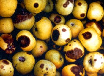 Technologies :: Crop Protection