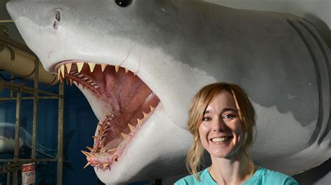 Warmer weather may mean year-round sharks in Cape Cod : r/SharkLab