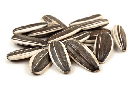Unsalted Sunflower Seed