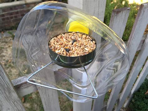 Squirrel Proof Bird Feeder Challenge : 43 Steps (with Pictures ...