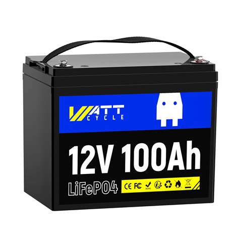 12V 24V 36V 48V 100Ah LiFePO4 Lithium Battery BMS Deep Cycle For RV Solar Panel | eBay