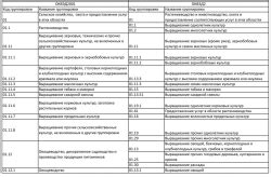 Соответствие ОКВЭД и ОКВЭД 2