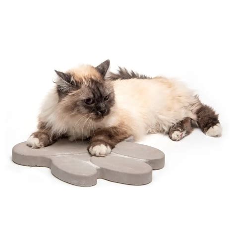 Trittsteine Pfote 2 – 12 hübsche Beton Trittplatten im Set 30 x 25 cm ...