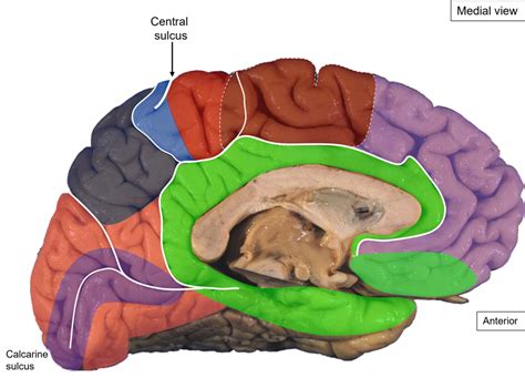 Image result for Cortex-R Vector Table