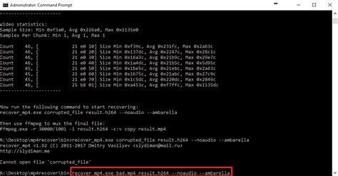Recover MP4 File 的图像结果