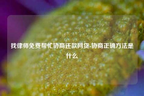 找律师免费帮忙协商还款网贷-协商正确方法是什么-地宝网