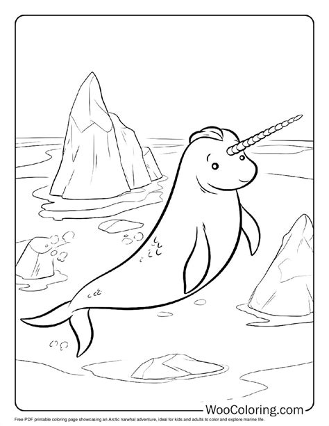 100+ Narwhal coloring pages (FREE) Printable PDF | Woo Coloring