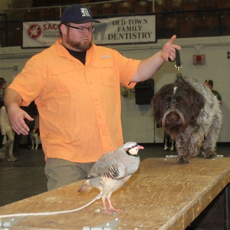 Versatile Dog demos at the Kora Shrine Outdoor Expo, Kora Temple 11 ...