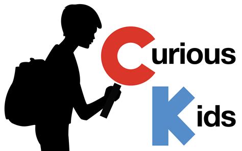 Curious Kids: Where do flies sleep?