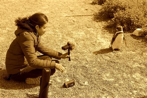 Biotopos – Tania Rubio