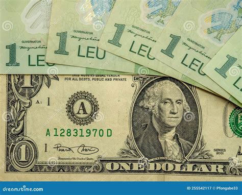Bankotes of Romanian Leu Ron and Dollar Stock Image - Image of debt, banking: 255542117