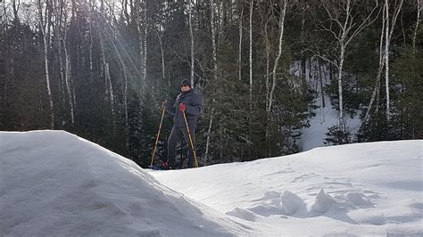 LES REFUGES CAROLE ET SYLVAIN (Mandeville) - Cottage Reviews & Photos ...