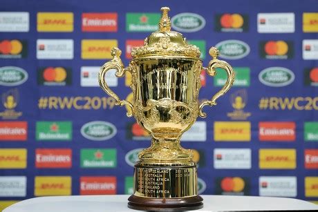 Rugby Trophy 的图像结果