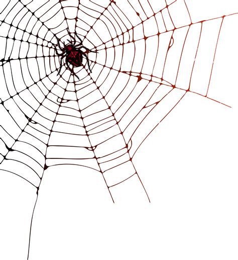 spider web transparent png 10 free Cliparts | Download images on ...