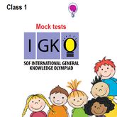 Free IGKO Mock tests | Class 1 to 10 – Olympiad tester
