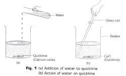 Lab Manual: Types of Reactions - Class 10 PDF Download
