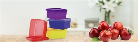 Buy Tupperware . Plastic Container-500Ml, 4 Pieces, Multicolour ...