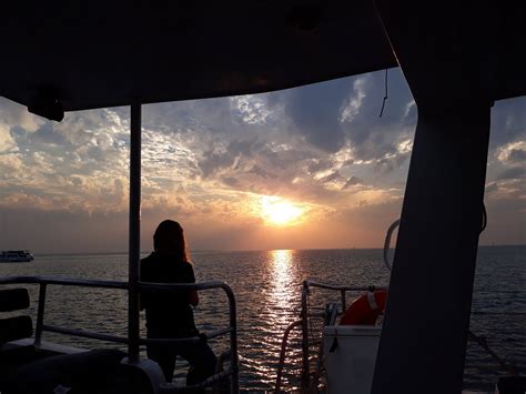 SAIL DARWIN (2026) All You Need to Know BEFORE You Go (with Reviews ...