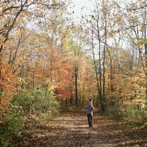 Amazon.in: Alex Fletcher: books, biography, latest update