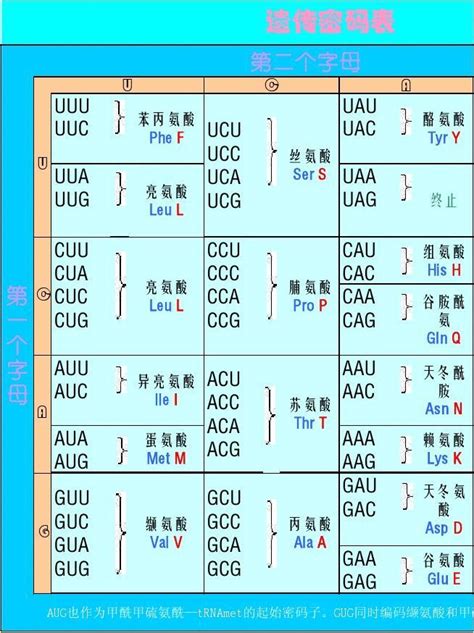 摩斯密码中文对照表大全（一篇文章教会你摩尔斯码）—趣味生活常识网