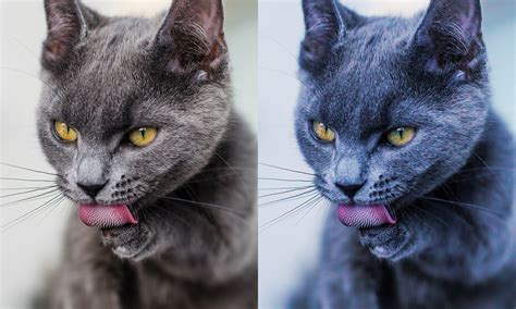 Computer Screen Textures Buisness 的图像结果