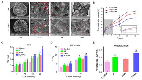Application of Hydrogels as Sustained-Release Drug Carriers in Bone ...