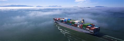 Exporting 的图像结果