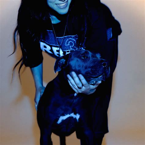 Capa Do Album Pitbull Aquecimento Global How Billie Eilish's Pit Bull,