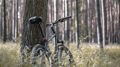 Wallpaper bike, forest, trees, walk hd, picture, image