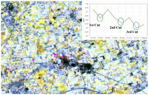 Image result for Fodder Flow