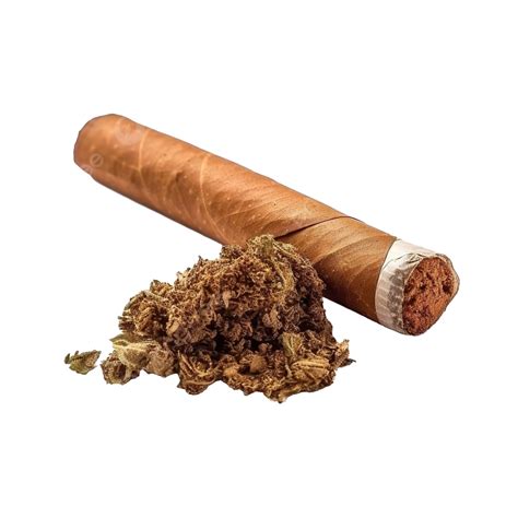 Cigar Wrapped In Weed at Buddy Franzen blog