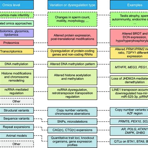 Omics Introduction 的图像结果