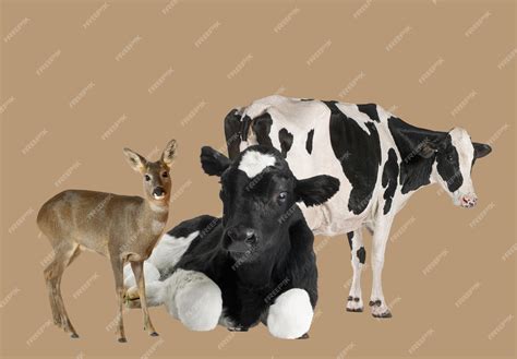Premium Photo | Deer and Cows Posing Together Against a Brown Background