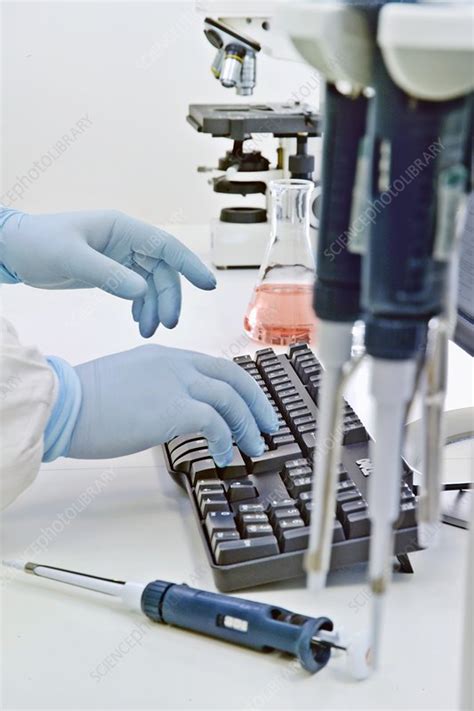 Labratory Computer 的图像结果