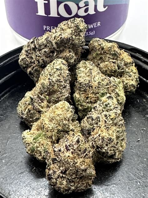 Float - Fried Ice Cream (Ice Cream Mintz x Runtz) @ 25% THC/2.0% terps ...