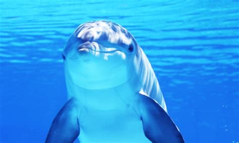 Goa Tour Packages - Beaches, Adventure & More | Itinerary Diar