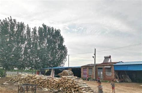 今年10月底山东菜屯镇木材加工合作社产值达9.4亿元-木业网