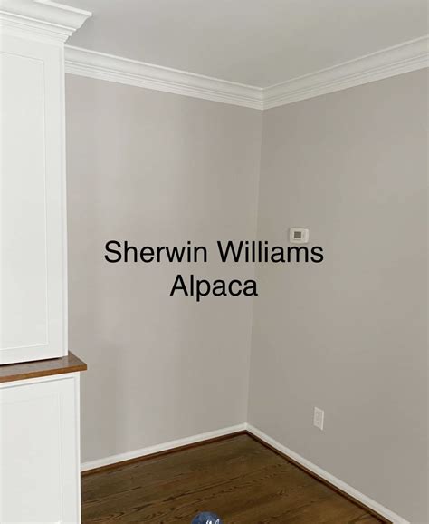 Sherwin williams alpaca paint color – Artofit