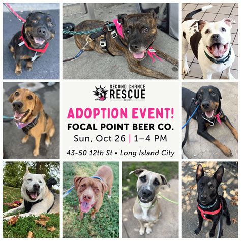 Upcoming Adoption Events - NYC Second Chance Rescue