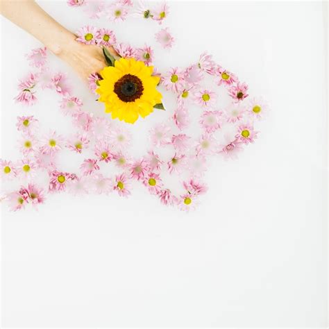 Page 16 | Flower falling Images - Free Download on Freepik