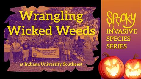 Wrangling Wicked Weeds: Spooky Invasive Species Series, Indiana ...