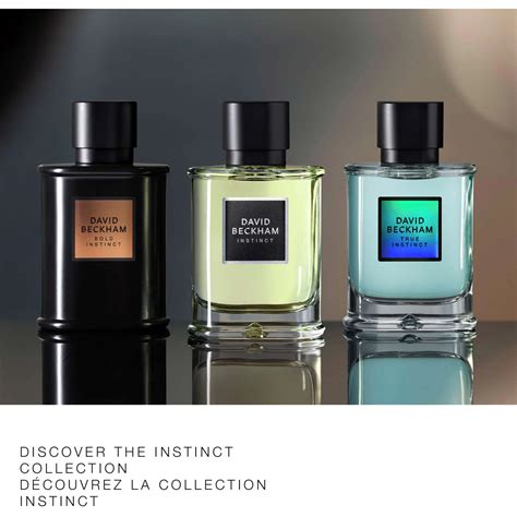 David Beckham Bold Instinct Eau de Parfum for Men - Woody Aromatic ...