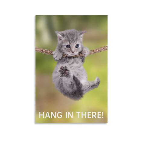 Amazon.com: Aimeryup Hang In There Cat - Funny Motivational Cat Poster ...
