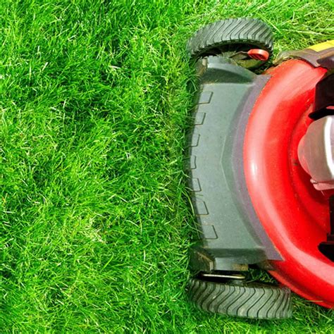 Lawn Mower Oil Type Guide: Best Options for Your Engine
